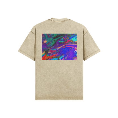 Conundrum Snow Wash T-shirt